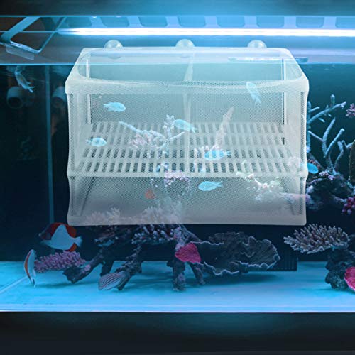 Hemobllo 1PC Fish breeding Tanks Fry net Breeder Fish net for Fish Tank Fry Breeder Tank Separation Net drip Acclimation kit Fish Tank Hatchery Water Changer Dripping Water White