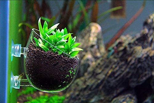 Aquarium Plant Holder Pot Aquarium Decor Crystal Glass Aquatic Plant Cup with Suction Cups for Fish Tank Aquascape Decoration (4 Pack)