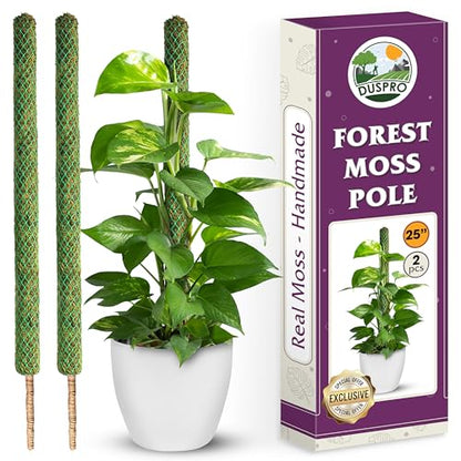 2 Pack 25’’ Mesh Moss Pole for Climbing Plants, Natural Moss Pole Monstera Plant Support, Real Moss Poles for Plants Indoor, Moss Stick for House Plants, Moss Stakes for Climbing Plants