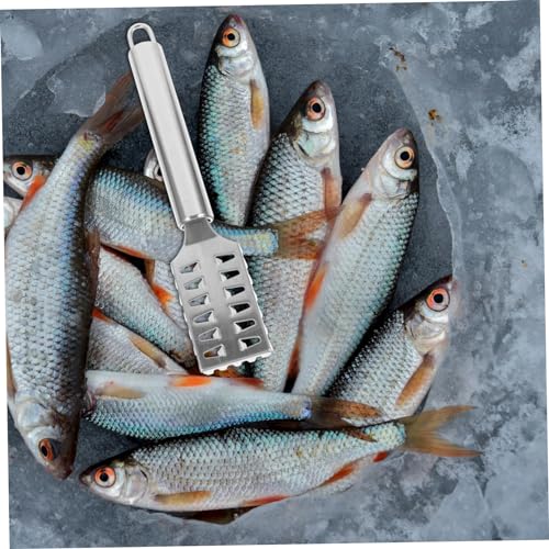 COLLBATH Stainless Steel Fish Scale Shaver with Lid Fast Cleaning Fish Skin Remover Comfortable Grip Effortless Use Seafood Tool for Home Kitchen