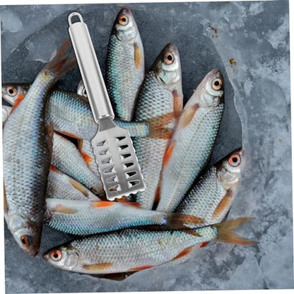 COLLBATH Stainless Steel Fish Scale Shaver with Lid Fast Cleaning Fish Skin Remover Comfortable Grip Effortless Use Seafood Tool for Home Kitchen
