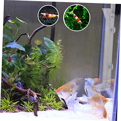 BESPORTBLE Shrimp Feeder Tube Feeding Tool Scale for Aquarium and Pets for Corals Shrimps and Guppies Medium Feeding