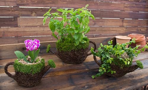 SuperMoss (55259) 5" Deco Watering Can Planter Basket, Small - size: Small