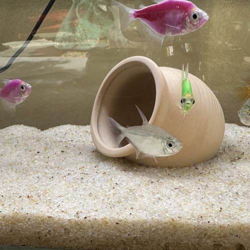 Aquarium Sand, 5lbs Beige Fish Tank Sand, Aquarium Gravel Substrate for Aquascaping, Vivariums, Terrariums, Plants and Crafts - color: Beige, size: 5 lbs