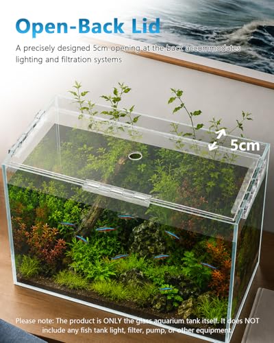 6 Gallon Glass Fish Tank 5 Gallon Open-Back Lid, Small Aquarium Fish Bowl Cube for Betta Goldfish Snails Shrimp Aquatic Planting, Ultra Clear Rimless Design Low Iron - color: Transparency, size: 6 Gallon