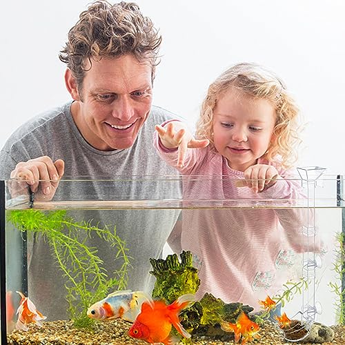 Aquarium Fish Shrimp Feeding Dish Set Clear Fish Feeder Tube and Dish with Cleaning Brush and Measuring Spoon for Feeding Shrimp and Preventing Food Scattering Feeding Supplies for Shrimp Large