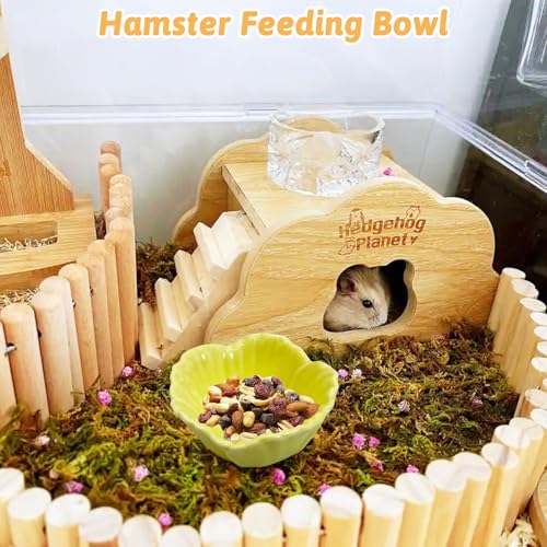 2 Pcs Hamster Food Bowl, Ceramic Dwarf Hamster Food Bowl Feeder Water Rat Bowl Small Animal Food Dish for Golden Bears, Hedgehogs, Dutch Pigs, Parrots (Yellow)