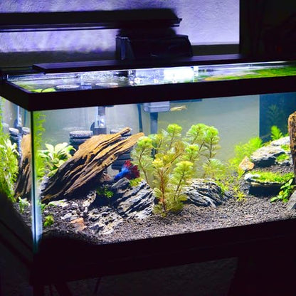 Gatuida Reptile Terrarium Mat Non- Tank Bottom Pad for Aquariums Thick Shock-Absorbing Water-Resistant for Fish Tanks and Leveling Support