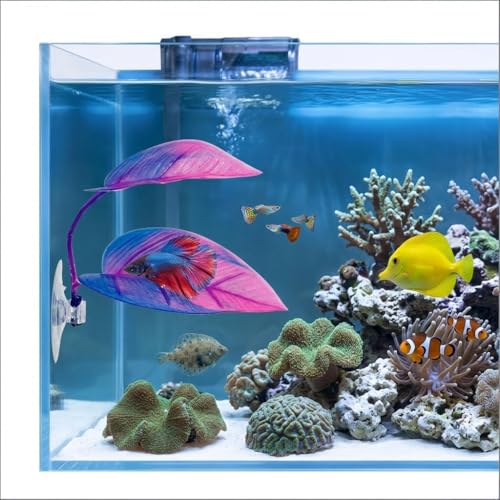 Betta Hammock - Purple Fish Leaf Bed for Bettas, Guppies and Clownfish Aquarium Decoration with Suction Cup