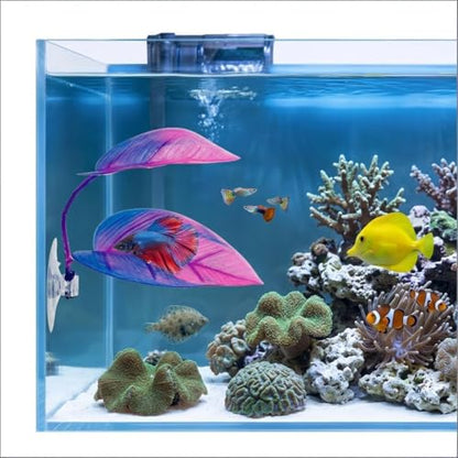 Betta Hammock - Purple Fish Leaf Bed for Bettas, Guppies and Clownfish Aquarium Decoration with Suction Cup