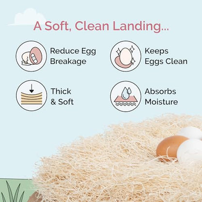 Chicken Nesting Pads (10 Pack) USA Grown, 100% Biodegradable, Sustainably Harvested, Aspen Excelsior Pads, 13"x13", Chicken Nesting Box Pads