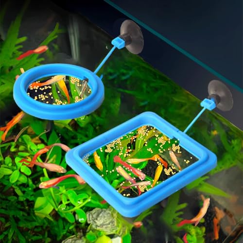 2pcs Fish Tanks Feeding Rings Small Fishes Feeders Rings Circle Buoyance Fish Feeders for Easy Installation and Cleaning