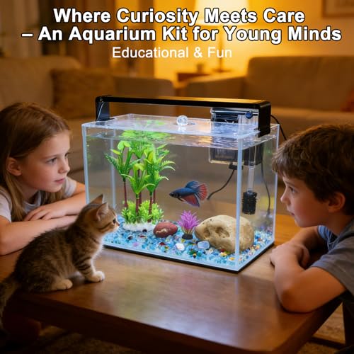 3.2 Gallon Fish Tank, Nano Nature Aquarium,Small Aquarium Starter Kit,Ultra-Clear Rimless Desktop Small Aquarium with Filter,Light,Rainforest Sand,Rock for Betta,Shrimp,Goldfish,Clear Glass
