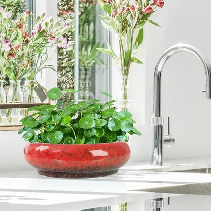 ARTKETTY Lotus Bowl Planter - 7.3 Inch Large Lotus Flower Bowl for Water Plants, Ceramic Hydroponic Planter Water Lily Bowl for Planting Aquatic and Indoor Succulent Plants and Bonsai - color: Red