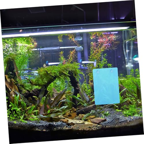 Sosoport Aquarium Partition Fish Breeding Plate Suction Cups Fish Tank Isolation Plate Decorative