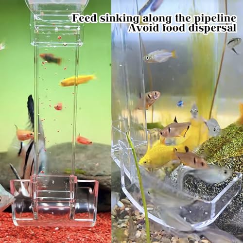 Rainmae Aquarium Feeding Dish Set, Transparent Aquarium Feeder Tube Kit, Fish Tank Feeding Supplies with Cleaning Brush and Food Scattering Prevention