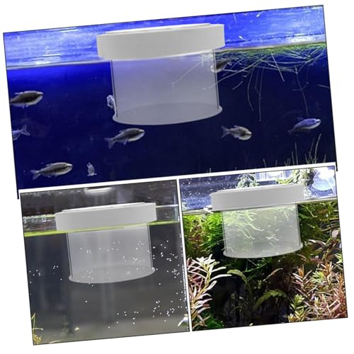 Acrylic Fish Breeding Box Mesh Bottom for Aquatic Nursery Medium Isolation Container for Fry and Shrimp Easy Aquarium Use