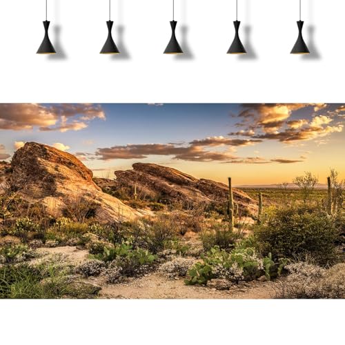 2 Packs Desert Mountain Reptile Tank Background Sunset Desert Gobi Cacti Sand Dunes Aquarium Background Saguaro Sandstone Rock Mountain Range Scenery Aquarium Reptile Enclosure Backgrounds 36x18in
