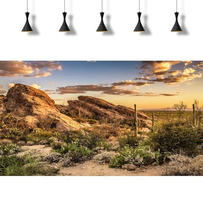 2 Packs Desert Mountain Reptile Tank Background Sunset Desert Gobi Cacti Sand Dunes Aquarium Background Saguaro Sandstone Rock Mountain Range Scenery Aquarium Reptile Enclosure Backgrounds 36x18in