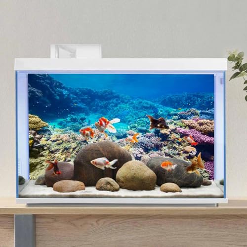 AWERT Aquarium Background Coral Reef Tropical Fish Undersea Fish Tank Background 36x20 inches Durable Polyester Background