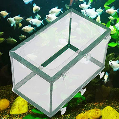 Xiaoyztan Breeder Box for Fish Tank,Aquarium Breeder Box Plastic Frame Baby Fish Tank Separation Breeding Aquarium Spawn Hatchery Isolation with Suction Cups,Pack of 1 - size: 10.4"L x 6"W x 6.1"H