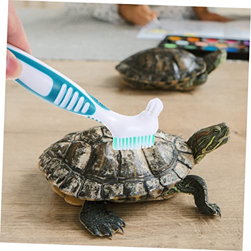 Turtle Shell Cleaning Brush Double-Head Compact Tool with Ergonomic Handle for Aquatic Turtle and Tortoise Care Removes Mud Dirt from Shell and Tank 6.29X1.96X0.59In - color: As Shown 1
