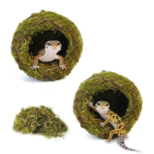 2pcs Crested Gecko Hide,Reptile Mossy Caves Hideout,Leopard Gecko Humid Hide,Natural Moss Cave Hiding Decor Tank Accessories for Reptiles, Amphibians,Invertebrates,Lizard,Frog