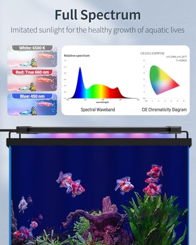 Pawfly 6 W Extendable Aquarium LED Light for 6 to10 Inch Fish Tank with Full Spectrum Brilliant White Blue Red Lights with Daytime & Night Modes and Adjustable Brightness - color: Basic with Timer, size: 6"-10"