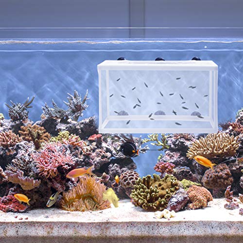 TEHAUX Transparent Fish Breeding Box, Multifunctional Plastic Aquarium Hatching Cases with Suction Cups for Shrimp Guppy Clownfish Aggressive Fish, Easy to Install, White 2pcs