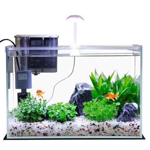 5 Gallon Glass Small Fish Tank with Filter Light and Lid, Betta Aquarium Starter Kits - size: 5 Gallon