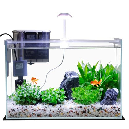 3 Gallon Glass Small Fish Tank, Betta Fish Tank Starter Kit with Filter, Lights,Lid. - size: 3 Gallon