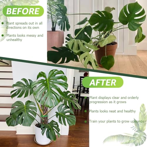 6 Pcs Monstera Moss Pole,Plastic Moss Poles for Climbing Plants Work with Sphagnum Moss,6×16'' Plant Support for Indoor Plants,Garden Ties