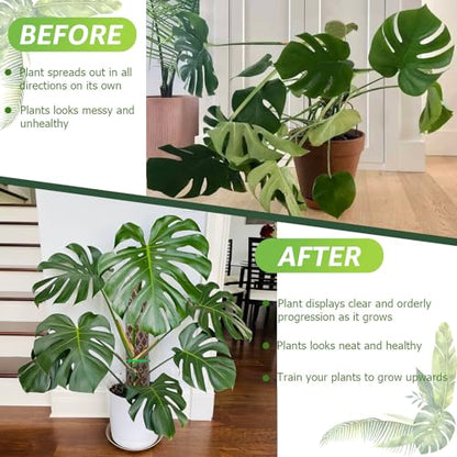 6 Pcs Monstera Moss Pole,Plastic Moss Poles for Climbing Plants Work with Sphagnum Moss,6×16'' Plant Support for Indoor Plants,Garden Ties