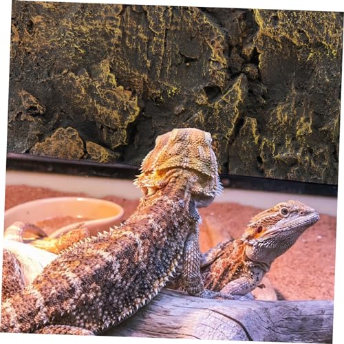 3D Reptile Tank Background Board Aquarium Tank Decoration for Bearded Dragon Decorative Sheet