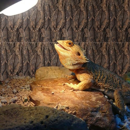 Homoyoyo 3pcs Bark Decorative Background for Reptile Tanks and Aquariums Safe for Pets Habitat Aesthetics Easy to Install