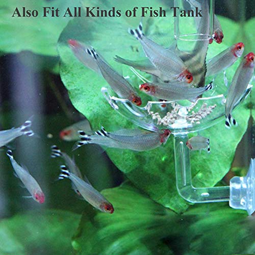 Shrimp Feeding Dish Shrimp Feed Dish, High Transparent Acrylic Material