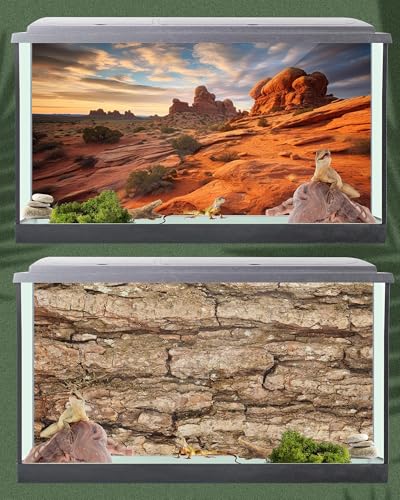 4 Pcs 30 x 11.8'' Reptile Tank Background 20/30 Gallon Bearded Dragon Terrarium Background Decor Polyester Reptile Tank Accessories for Leopard Gecko, Crested Gecko, Tortoises