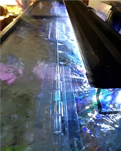 2-Piece Set of Acrylic 300 mm Continuous Piano Hinge - 12" Used for Transparent Boxes, Display Stands, Figurines, Model dust Boxes