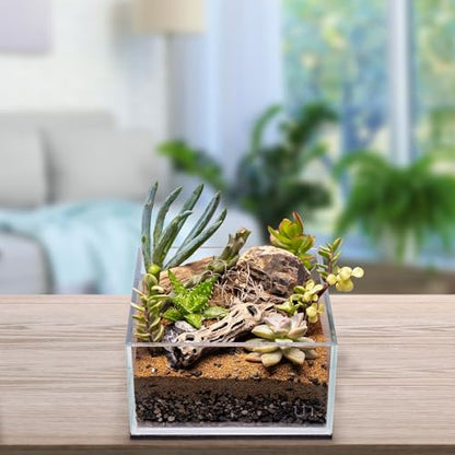 Natural Cholla Wood - Driftwood for Aquariums, Air Plant Base, Hermit Crab and Freshwater Shrimp Hideout, Fish Tank Decoration, Chinchilla Chews, Reptile Habitat Wood - 4 Inch, 3pc - size: 4 Inch (Pack of 3)