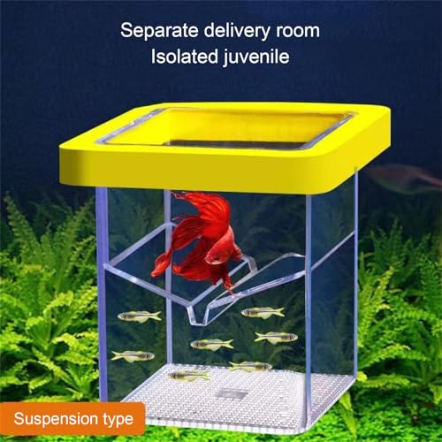 Fish Breeding Box for Hatchery and Isolation for Aquariums Breeding Box with Suction Cups Fish Eggs Nursery - color: Blue