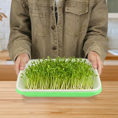 20 Pack 12.6 x 10 x 1.8 inch Microgreens Growing Trays, BPA-Free Sprouting Trays, Germination Tray for Beans, Wheatgrass & Microgreens, Home, Kitchen & Garden - size: 20 Pack 12.6 x 10 inch green