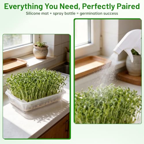Acrylic Microgreens Growing Trays 3-Pack – Clear Hydroponic Seed Starter Kit with Silicone Mats & Spray Bottle – Reusable Plant Germination Trays for Vegetables, Wheatgrass, Cat Grass – Indoor Garden