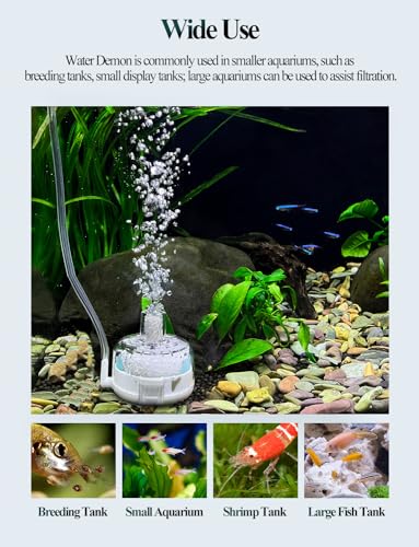 Mini Aquarium Sponge Filter, Small Fish Tank Filter Submersible Fish Filter Built-in Air Bubble Stone and Bio Balls for Fish Tanks up to 5 Gallon (Air Pump Not Included)