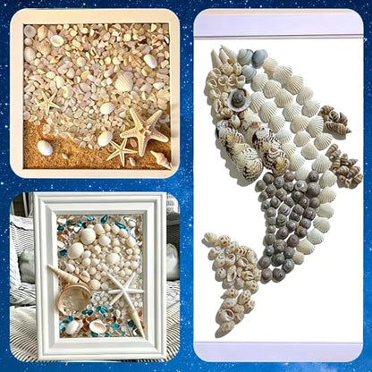 Tiny sea shells & 30 Tiny Starfish Decor Mixed Ocean Beach Spiral Seashells for Home Decor,Wedding Decor, Beach Decor, DIY Fish Tank and vase filler & decorative basket fillers (0.45"-1.35")