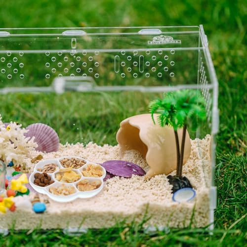 2Pcs Hermit Crab Food Dish, 7 Compartments Anti-Turning Food & Water Bowl, Tiny Reptile Water Bowl for Small Animal Hermit Aquarium Accessory