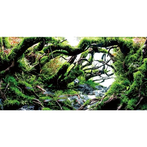AWERT 48x20 inches Branches Fish Tank Background Green Algae Aquarium Background River Bed & Lake Aquarium Background Vinyl Background
