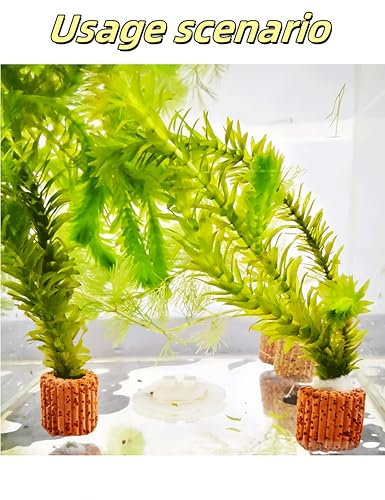 20Pcs Aquatic Water Plant Fixed Rings, Plant Weights for Fish Tank，25mm Water Plants Cultivation Rings for Aquarium Landscaping/Fish Tank Accessories