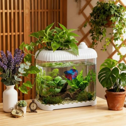 White 2 Gallon Plastic Aquaponic Betta Fish Tank Large Bowl Shatterproof Small Ecosystem Aquarium with Secure Buckle Lid, Clear Clarity for Terrarium, Flower Vase Betta Fish Tabletop Gifts - color: White