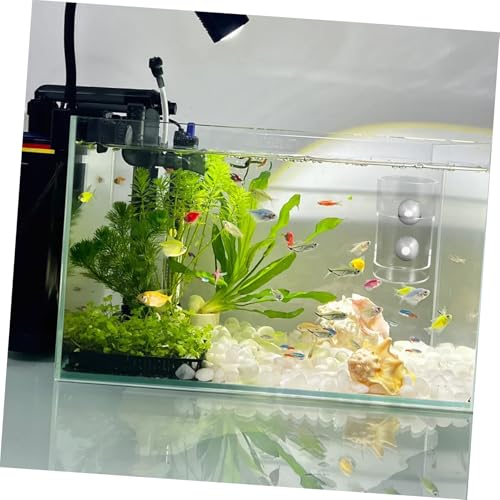 Fish Tank Feeder Cups Sinking Design Aquarium Feeding Cup Prevents Food Scattering Easy to Install Fish Feeding Tool for Various Aquariums