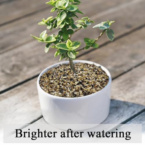 20lbs Fish Tank Sand, 1/16 inch Small Aquarium Gravel. Decorative Pea Gravel River Rocks for Air Plants, Vase Fillers, Landscaping and Succulent Soil Cover - size: 1/16 Inch